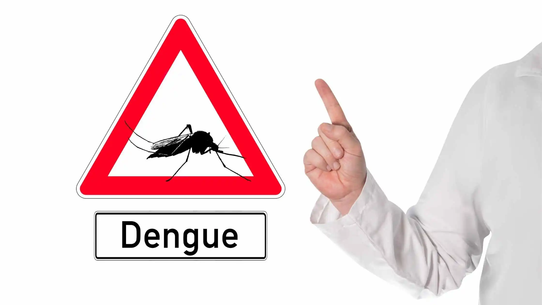 Common Weed, Ayurvedic Nightshade, Deadly For Dengue Mosquito