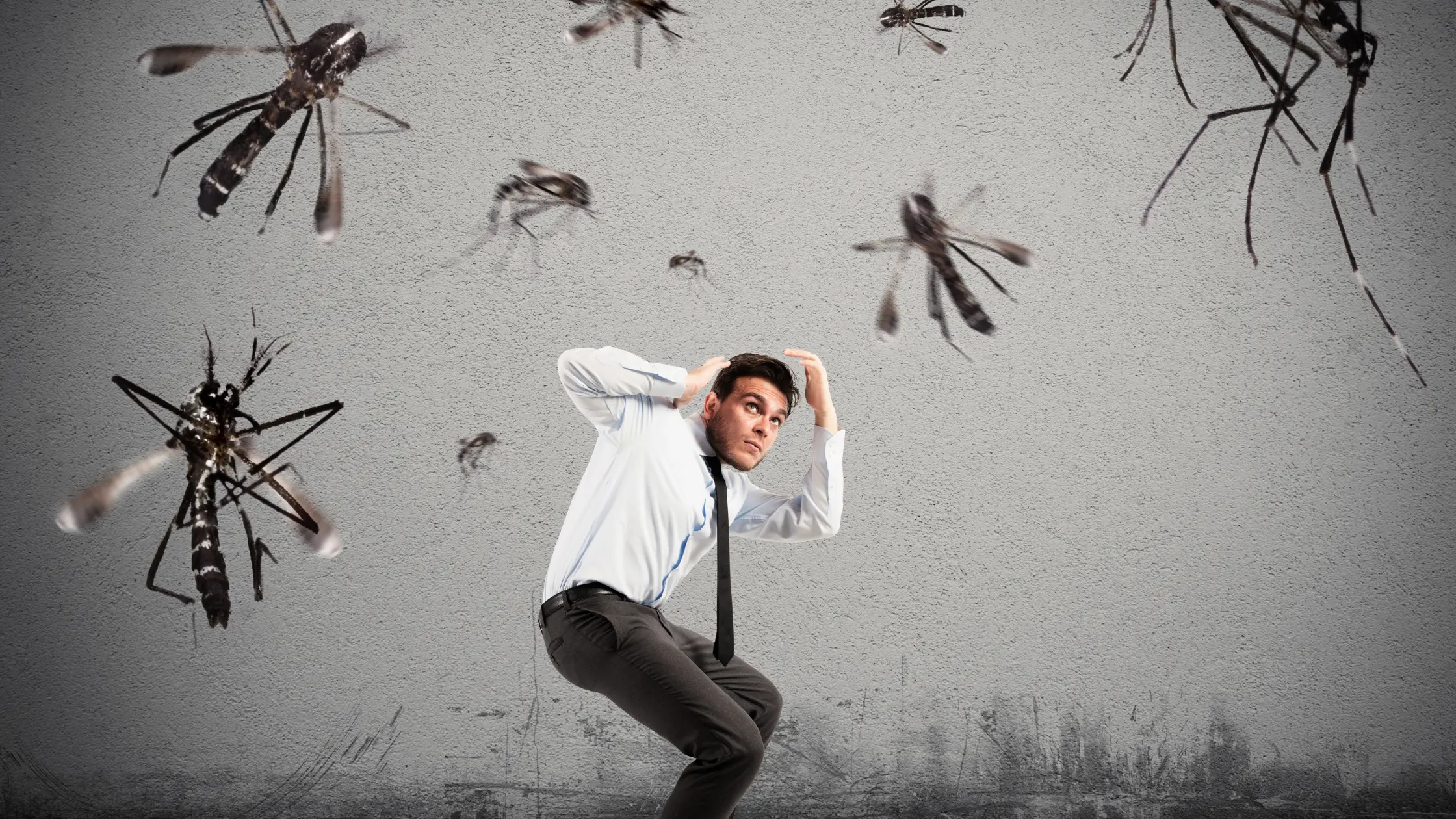 How to Keep Mosquitoes Away During Rainy Season?